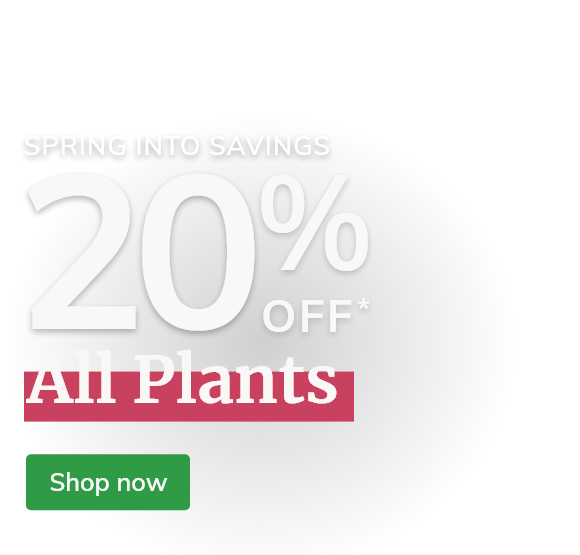 20% off Plants, Bulbs & Seeds