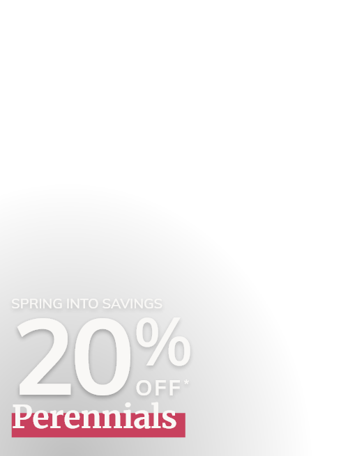 20% off Perennials