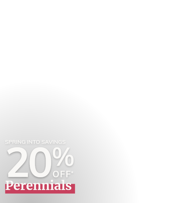 20% off Perennials