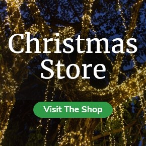 Explore Our Christmas Store