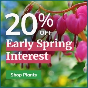 Early Spring Interest: 20% Off