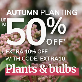 Autumn sale plants & bulbs