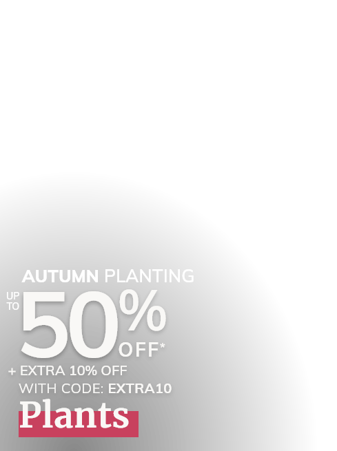 Autumn Plants & Trees Sale