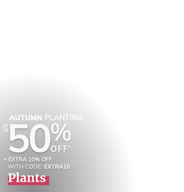 Autumn Plants & Trees Sale