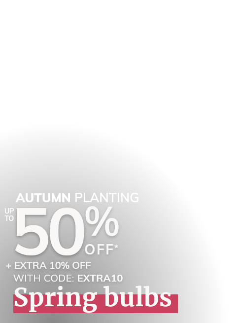 Autumn Bulbs Sale
