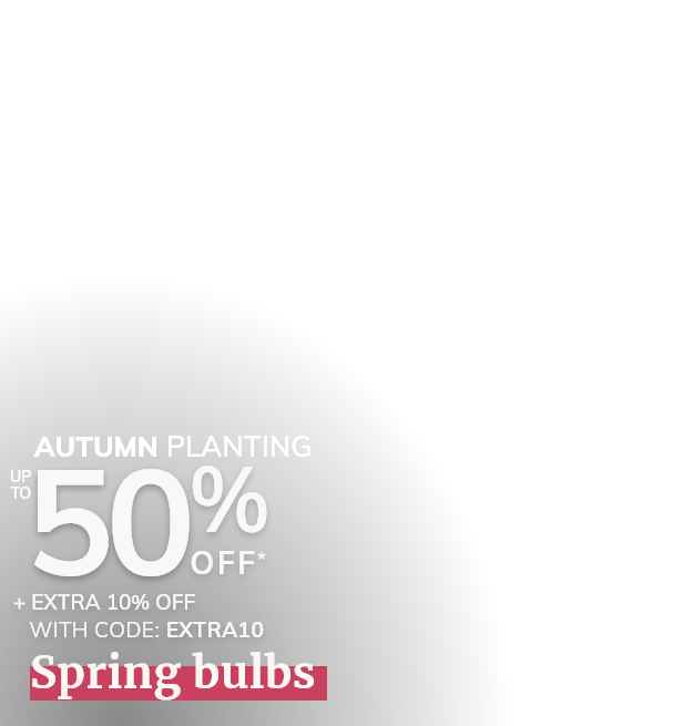 Autumn Bulbs Sale