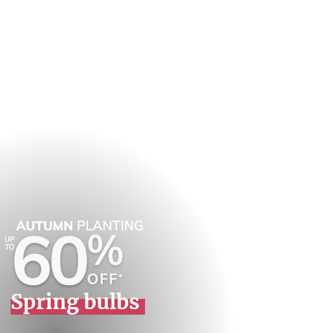Autumn Bulbs Sale