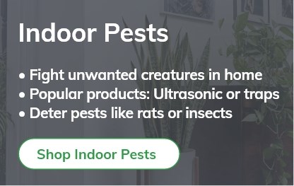 Shop Indoor Pests