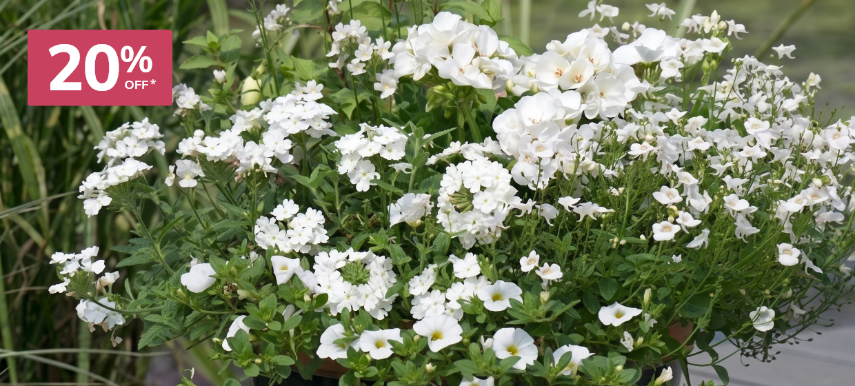 Easyplanters: 20% off