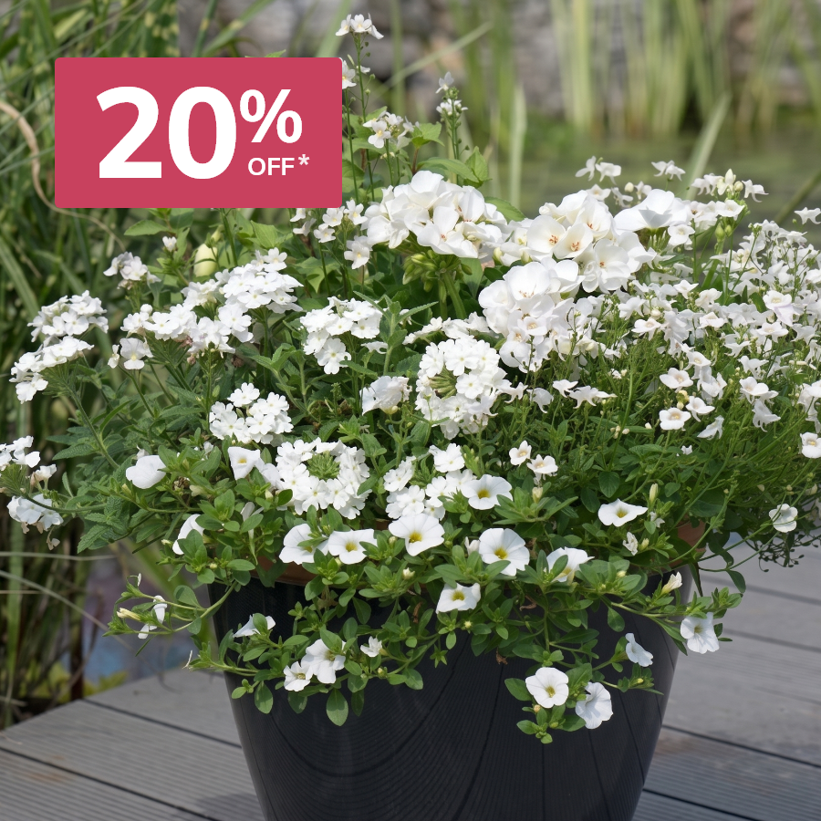 Easyplanters: 20% off