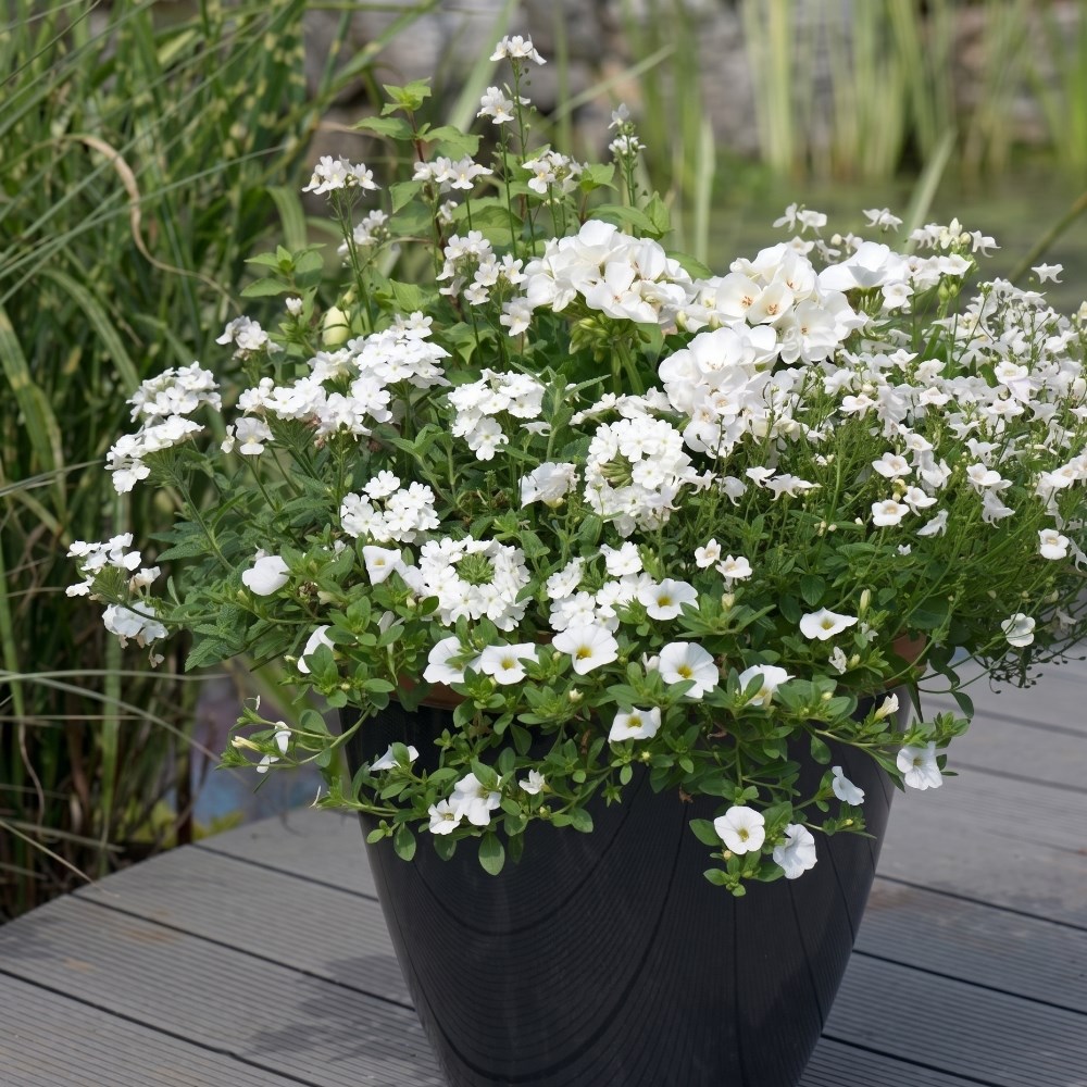 Easyplanters