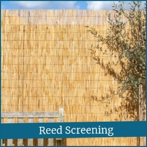 Reed Screening