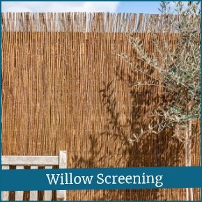 Willow Screening