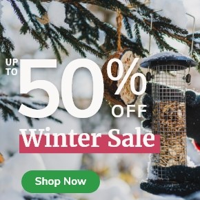 Winter Sale: Up to 50% Off