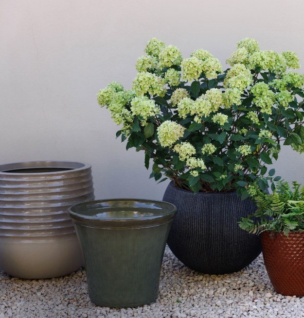 Planters