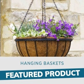 Hanging Baskets: Featured Product