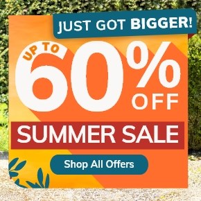 Summer Sale: Up to 60% off