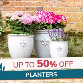 Planters: Up to 50% off