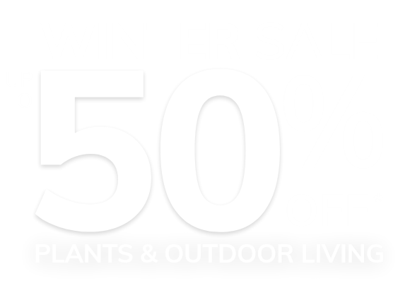 Winter Sale