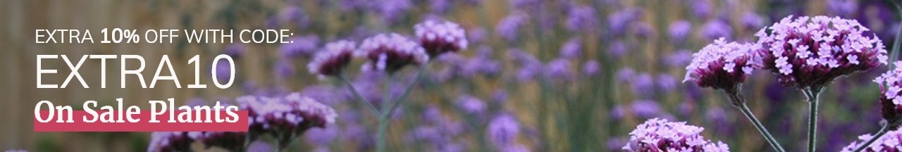 Use code EXTRA10 for 10% off plants