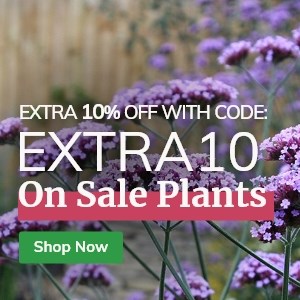 Use code EXTRA10 for 10% off plants