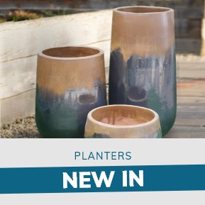 Planters: New In