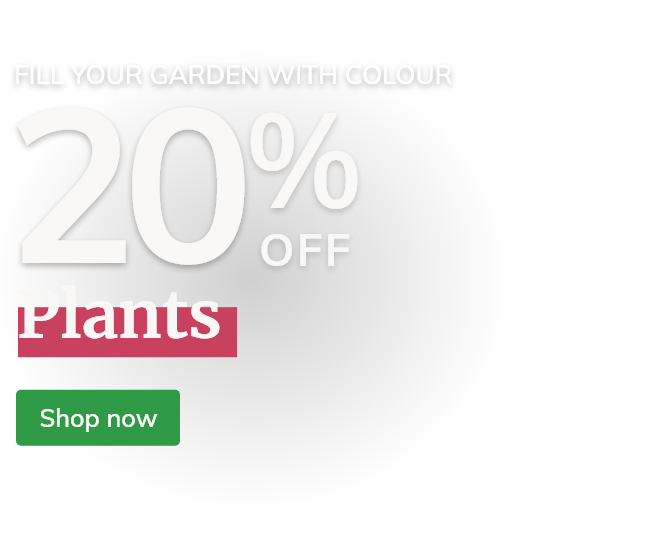 Plants