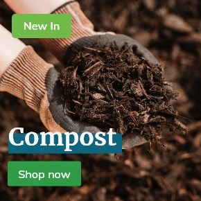 New: Compost