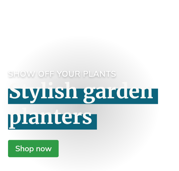 Stylish garden planters 