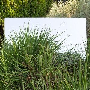 Garden Mirrors