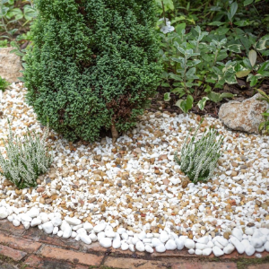 Decorative Stones & Aggregates
