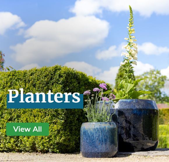 Planters