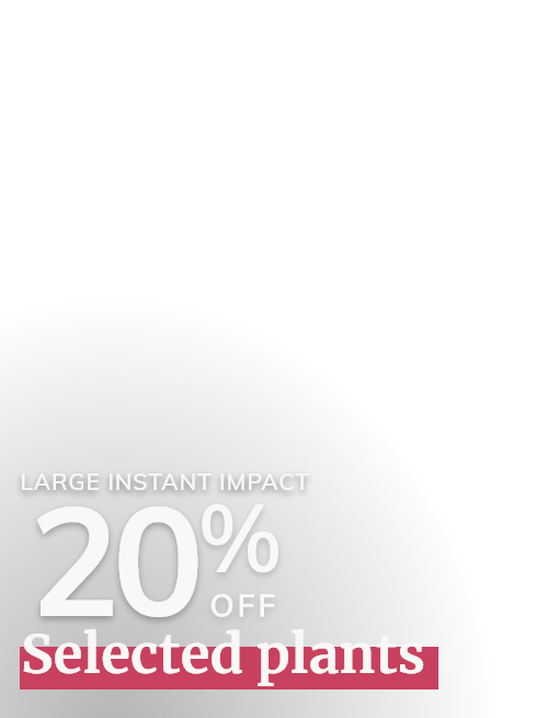 Instant impact plants