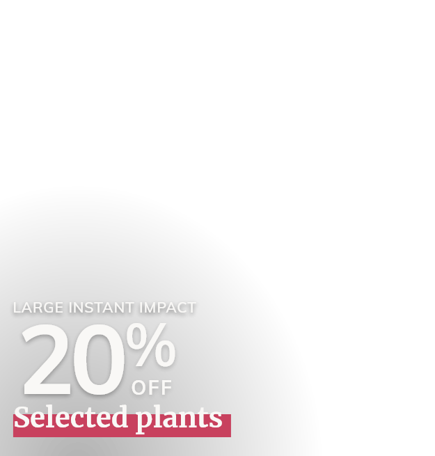 Instant impact plants