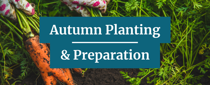 Autumn Planting & Preparation