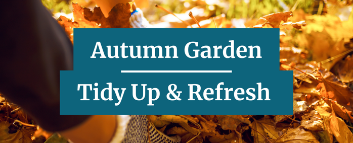 The Autumn Garden Tidy Up 