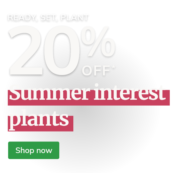 20% off Summer Interest Plants