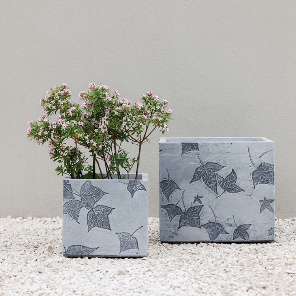 Planters: Up to 50% off