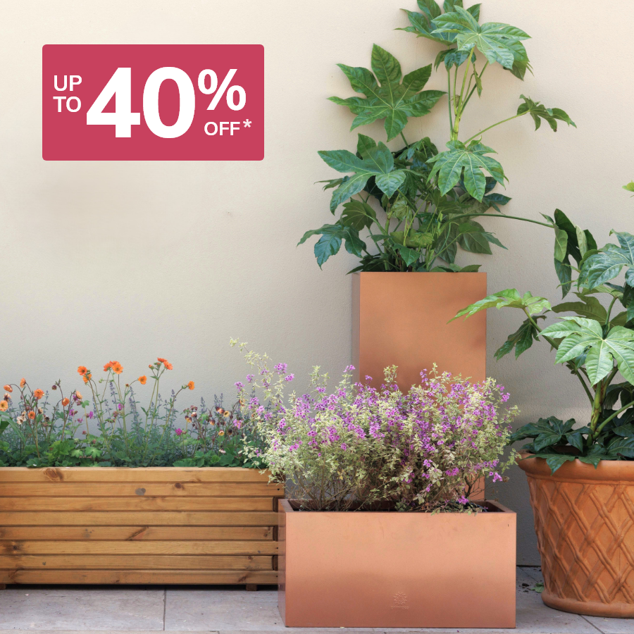 Up to 40% off Planters