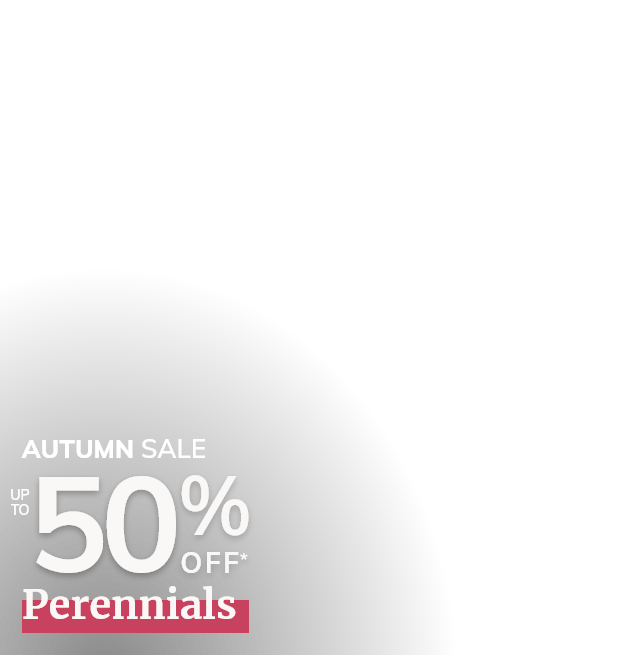 Perennials