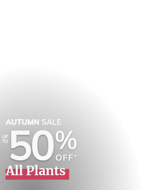 All plant sale