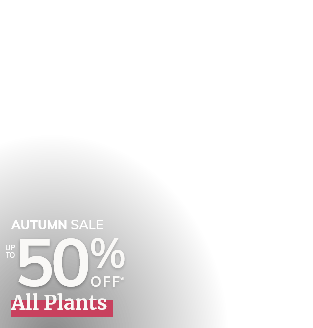 All plant sale