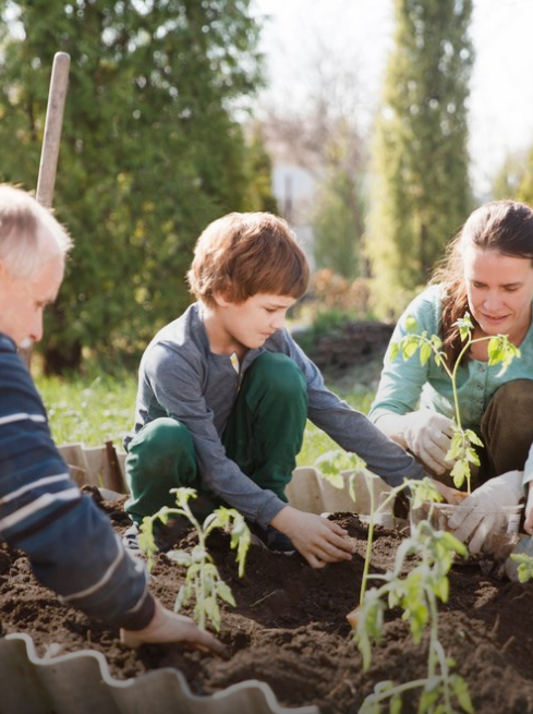 Compost & Fertiliser