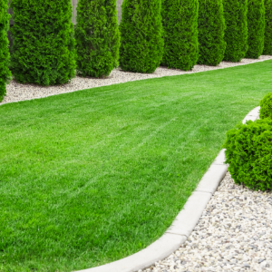 Lawn care