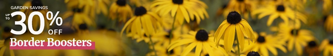 Border Boosters: Up to 30% off Plants