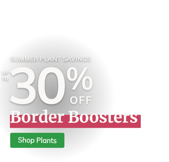 Border Boosters: Up to 30% Off