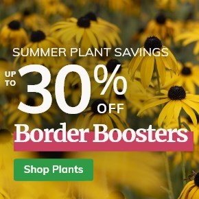Border Boosters: Up to 30% Off