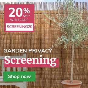 Use code SCREENING20 for 20% off selected screening