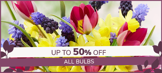 Bulb Sale: Up to 50% off