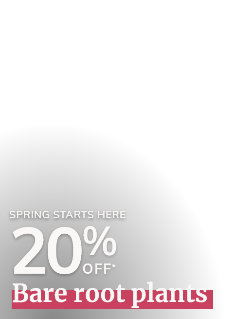 Bare root plants: 20% off
